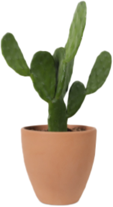 Plant Pot